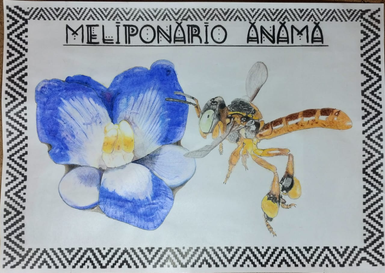 Desenho original feito à mão pelo produtor: abelha jataí e flor azul